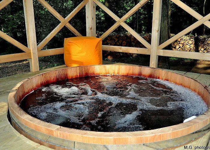 Chateau De Paterne 4*